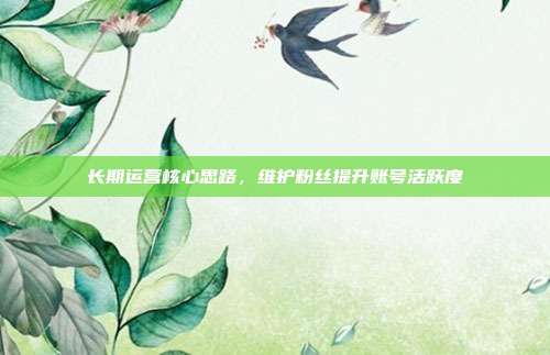 长期运营核心思路，维护粉丝提升账号活跃度