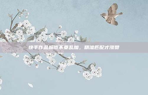 快手作品标签不要乱加，精准匹配才涨赞