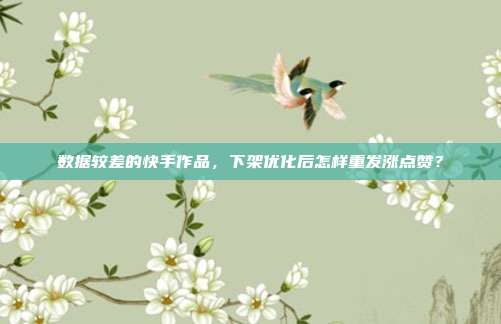 数据较差的快手作品，下架优化后怎样重发涨点赞？