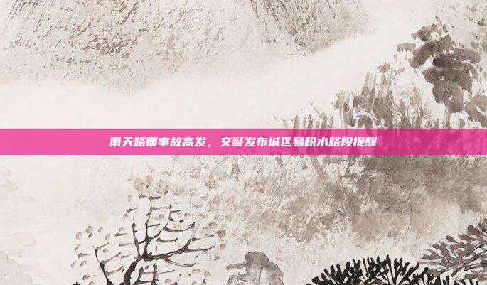 雨天路面事故高发，交警发布城区易积水路段提醒