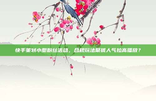 快手策划小型粉丝活动，合规玩法聚拢人气拉高播放？