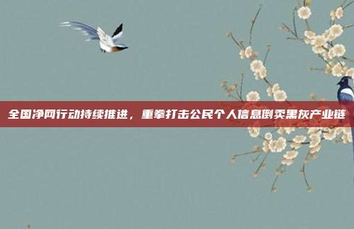 全国净网行动持续推进，重拳打击公民个人信息倒卖黑灰产业链