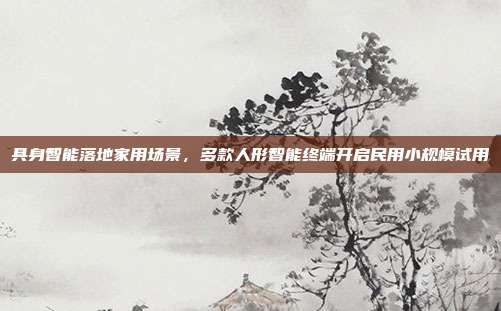 具身智能落地家用场景，多款人形智能终端开启民用小规模试用