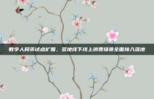 数字人民币试点扩围，多地线下线上消费场景全面接入落地
