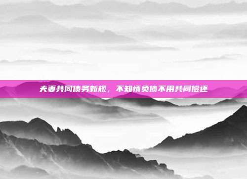 夫妻共同债务新规，不知情负债不用共同偿还