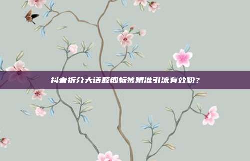 抖音拆分大话题细标签精准引流有效粉？
