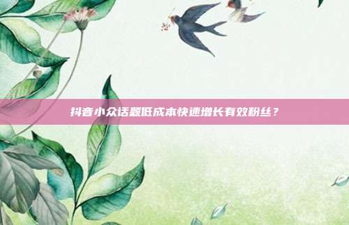 抖音小众话题低成本快速增长有效粉丝？