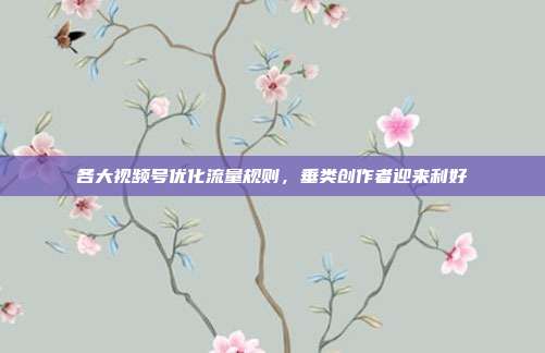 各大视频号优化流量规则，垂类创作者迎来利好