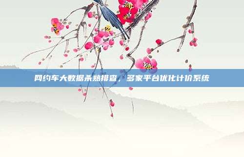 网约车大数据杀熟排查，多家平台优化计价系统