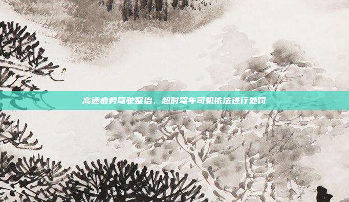 高速疲劳驾驶整治，超时驾车司机依法进行处罚