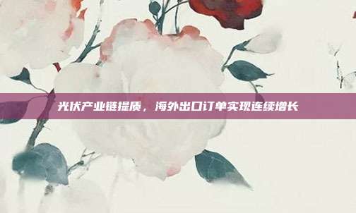 光伏产业链提质，海外出口订单实现连续增长